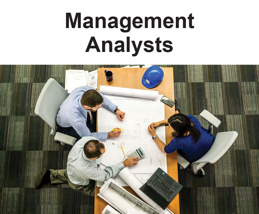 management analysts