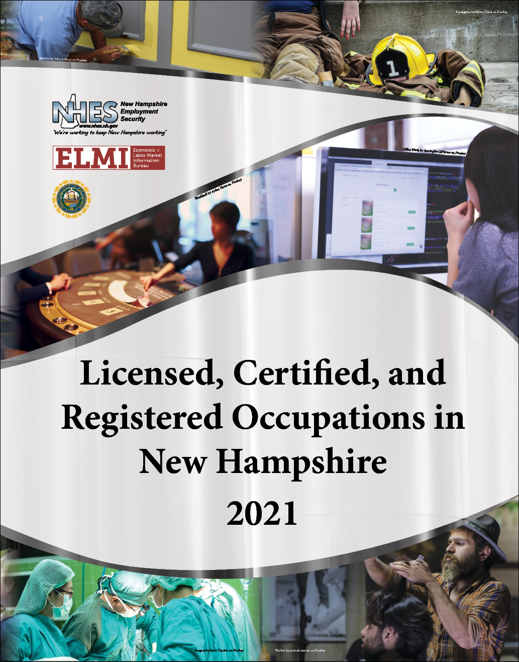 Licensed, Certified, and Registered Occupations in New Hampshire